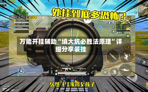 万能开挂辅助“填大坑必胜法原理	”详细分享装挂-第2张图片