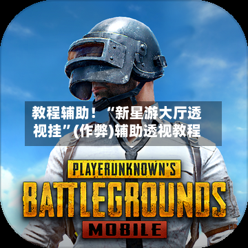 教程辅助！“新星游大厅透视挂”(作弊)辅助透视教程-第1张图片