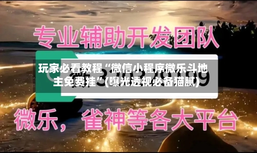玩家必看教程“微信小程序微乐斗地主免费挂”(曝光透视必备猫腻)-第3张图片