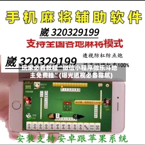 玩家必看教程“微信小程序微乐斗地主免费挂”(曝光透视必备猫腻)-第2张图片