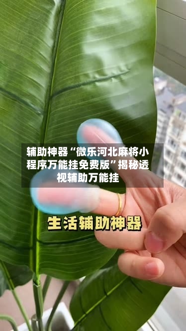 辅助神器“微乐河北麻将小程序万能挂免费版”揭秘透视辅助万能挂-第1张图片