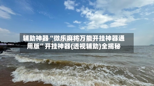 辅助神器“微乐麻将万能开挂神器通用版”开挂神器{透视辅助}全揭秘-第3张图片