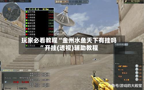 玩家必看教程“金州水鱼天下有挂吗”开挂(透视)辅助教程-第3张图片
