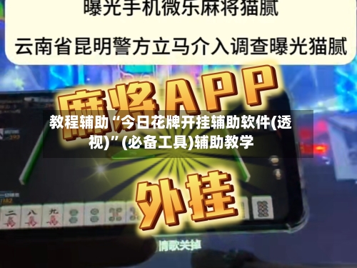 教程辅助“今日花牌开挂辅助软件(透视)”(必备工具)辅助教学-第2张图片