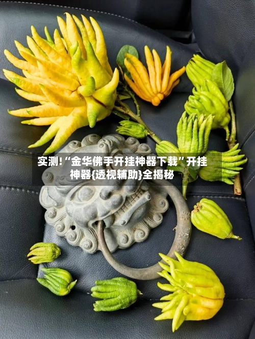 实测!“金华佛手开挂神器下载”开挂神器{透视辅助}全揭秘-第1张图片