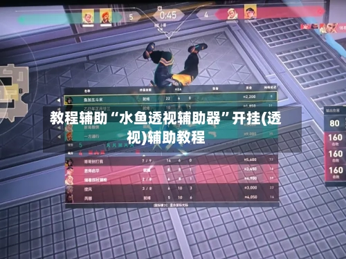 教程辅助“水鱼透视辅助器”开挂(透视)辅助教程-第1张图片