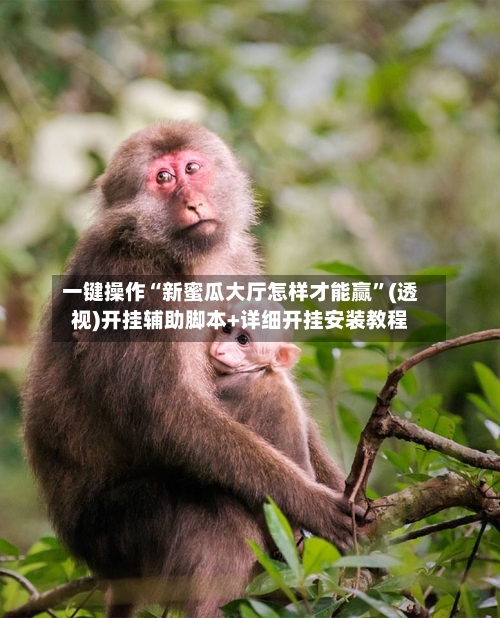 一键操作“新蜜瓜大厅怎样才能赢	”(透视)开挂辅助脚本+详细开挂安装教程-第1张图片