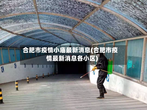 合肥市疫情小庙最新消息(合肥市疫情最新消息各小区)-第1张图片