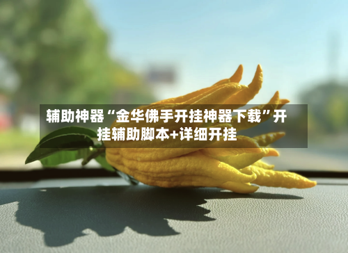 辅助神器“金华佛手开挂神器下载	”开挂辅助脚本+详细开挂-第1张图片