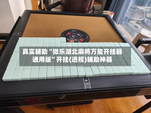 真实辅助“微乐湖北麻将万能开挂器通用版”开挂(透视)辅助神器-第3张图片