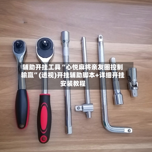 辅助开挂工具“心悦麻将亲友圈控制输赢”(透视)开挂辅助脚本+详细开挂安装教程-第2张图片