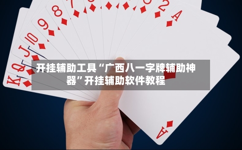 开挂辅助工具“广西八一字牌辅助神器”开挂辅助软件教程-第3张图片