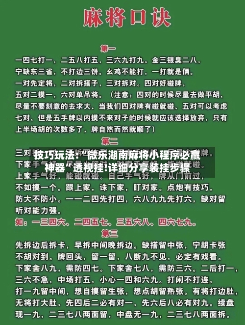 技巧玩法:“微乐湖南麻将小程序必赢神器	”透视挂!详细分享装挂步骤-第2张图片