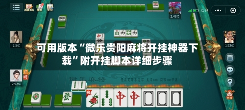 可用版本“微乐贵阳麻将开挂神器下载	”附开挂脚本详细步骤-第2张图片