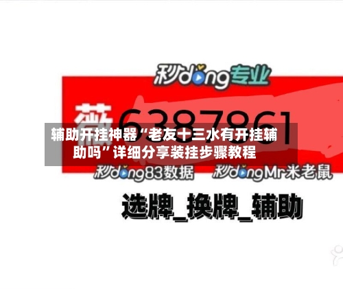 辅助开挂神器“老友十三水有开挂辅助吗”详细分享装挂步骤教程-第2张图片