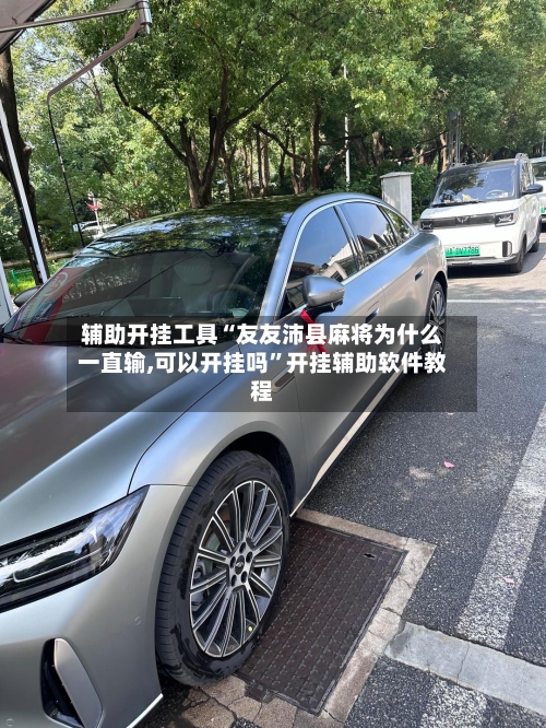 辅助开挂工具“友友沛县麻将为什么一直输,可以开挂吗”开挂辅助软件教程-第1张图片