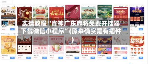 实操教程“雀神广东麻将免费开挂器下载微信小程序”(原来确实是有插件)-第1张图片