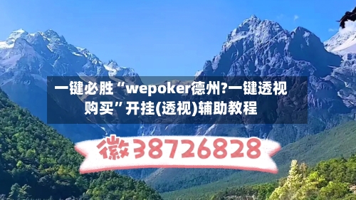 一键必胜“wepoker德州?一键透视购买”开挂(透视)辅助教程-第2张图片