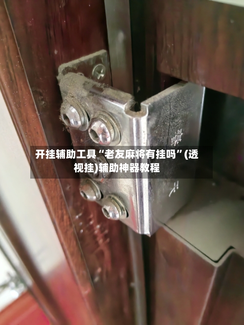 开挂辅助工具“老友麻将有挂吗”(透视挂)辅助神器教程-第2张图片