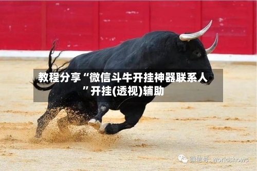 教程分享“微信斗牛开挂神器联系人”开挂(透视)辅助-第3张图片