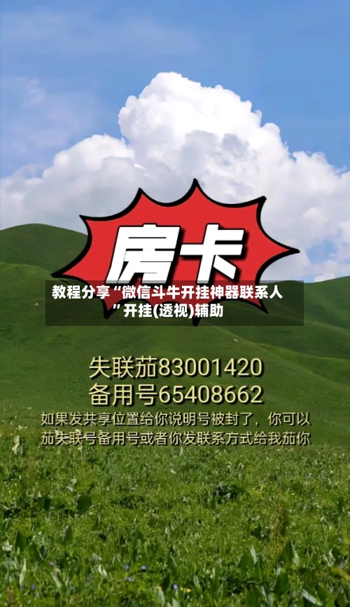 教程分享“微信斗牛开挂神器联系人”开挂(透视)辅助-第2张图片