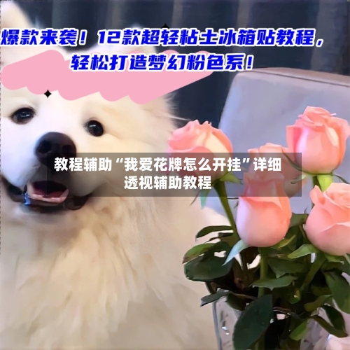 教程辅助“我爱花牌怎么开挂	”详细透视辅助教程-第1张图片