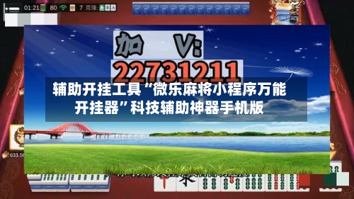辅助开挂工具“微乐麻将小程序万能开挂器”科技辅助神器手机版-第3张图片