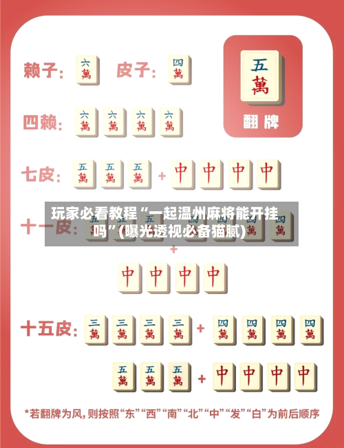 玩家必看教程“一起温州麻将能开挂吗	”(曝光透视必备猫腻)-第1张图片