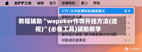 教程辅助“wepoker作弊开挂方法(透视)”(必备工具)辅助教学-第1张图片