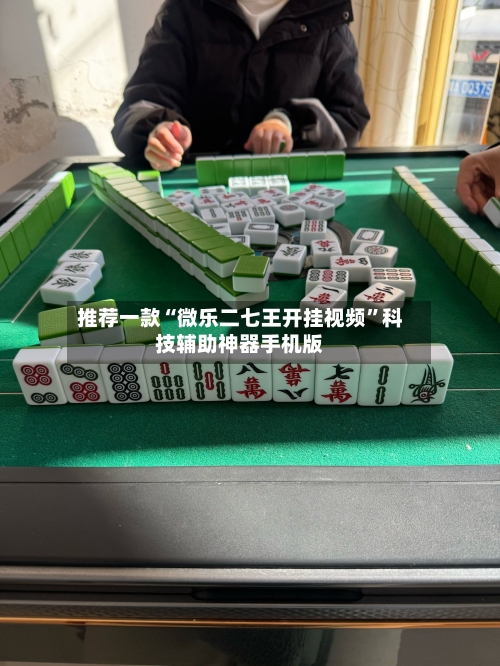 推荐一款“微乐二七王开挂视频”科技辅助神器手机版-第3张图片