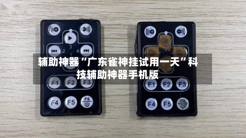 辅助神器“广东雀神挂试用一天”科技辅助神器手机版-第2张图片