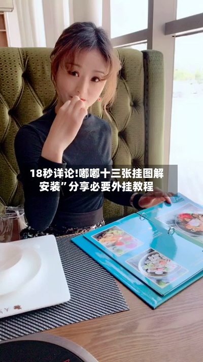 18秒详论!嘟嘟十三张挂图解安装”分享必要外挂教程-第1张图片