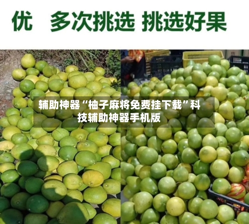 辅助神器“柚子麻将免费挂下载	”科技辅助神器手机版-第1张图片