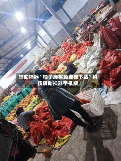 辅助神器“柚子麻将免费挂下载”科技辅助神器手机版-第2张图片