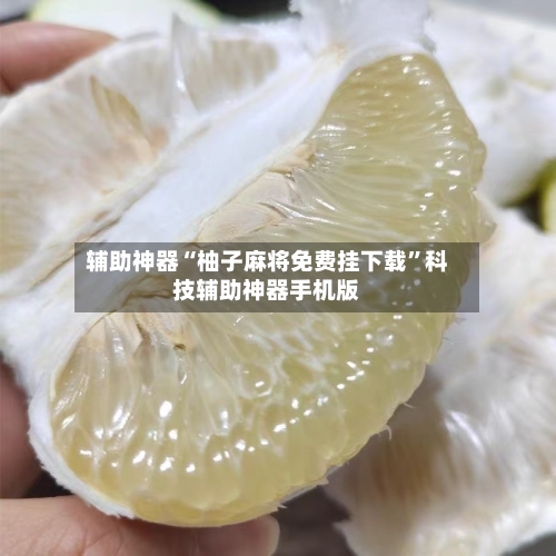 辅助神器“柚子麻将免费挂下载”科技辅助神器手机版-第3张图片