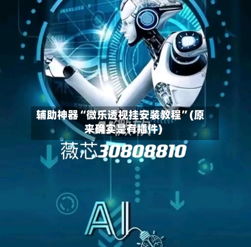 辅助神器“微乐透视挂安装教程”(原来确实是有插件)-第3张图片