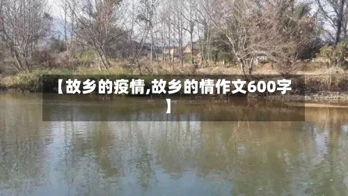 【故乡的疫情,故乡的情作文600字】-第1张图片