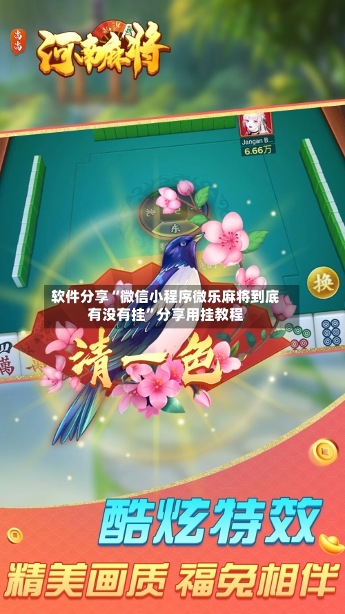 软件分享“微信小程序微乐麻将到底有没有挂”分享用挂教程-第3张图片