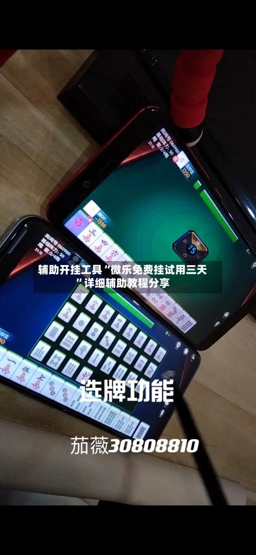 辅助开挂工具“微乐免费挂试用三天”详细辅助教程分享-第1张图片