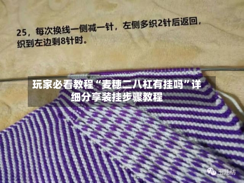 玩家必看教程“麦穗二八杠有挂吗”详细分享装挂步骤教程-第1张图片