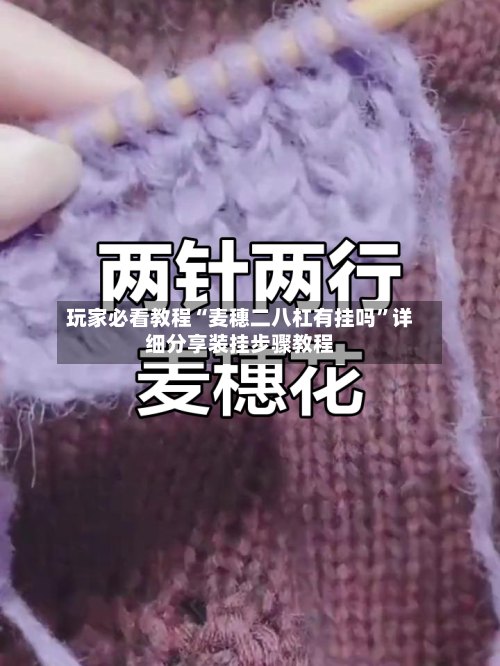 玩家必看教程“麦穗二八杠有挂吗”详细分享装挂步骤教程-第3张图片