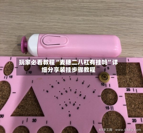 玩家必看教程“麦穗二八杠有挂吗	”详细分享装挂步骤教程-第2张图片