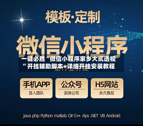 一键必胜“微信小程序家乡大贰透视”开挂辅助脚本+详细开挂安装教程-第3张图片