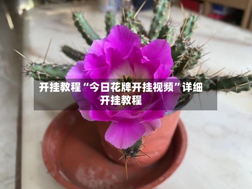 开挂教程“今日花牌开挂视频	”详细开挂教程-第3张图片