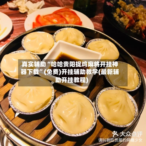 真实辅助“哈哈贵阳捉鸡麻将开挂神器下载”(免费)开挂辅助教学(最新辅助开挂教程)-第2张图片