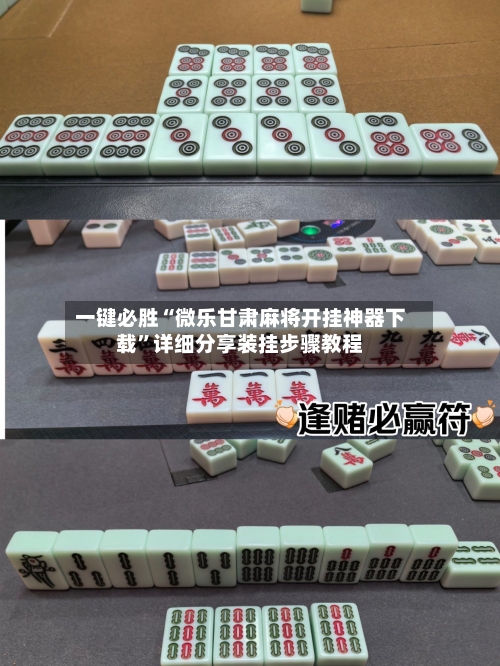 一键必胜“微乐甘肃麻将开挂神器下载	”详细分享装挂步骤教程-第3张图片