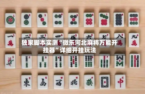 独家脚本实测“微乐河北麻将万能开挂器	”详细开挂玩法-第1张图片