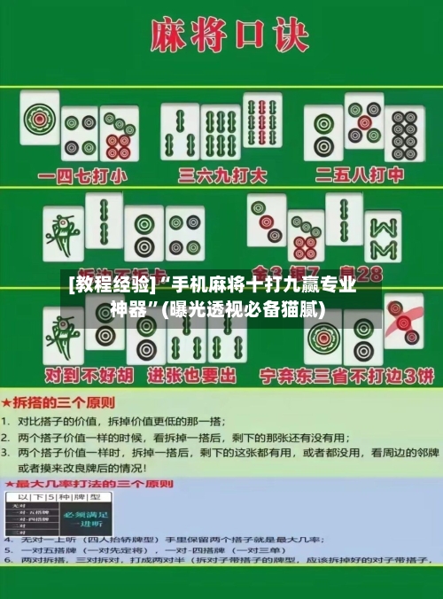 [教程经验]“手机麻将十打九赢专业神器”(曝光透视必备猫腻)-第3张图片