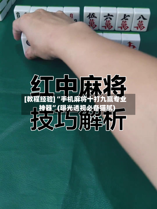 [教程经验]“手机麻将十打九赢专业神器	”(曝光透视必备猫腻)-第2张图片