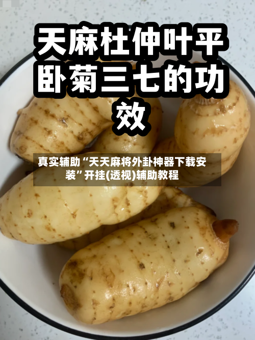 真实辅助“天天麻将外卦神器下载安装”开挂(透视)辅助教程-第1张图片